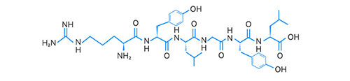 α-酪蛋白片段結(jié)構(gòu)圖